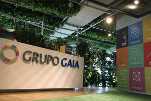 Comunicação Visual Escritório Grupo Gaia
